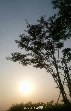 img_20170501-091653.jpg