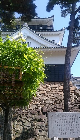 img_20170509-195627.jpg