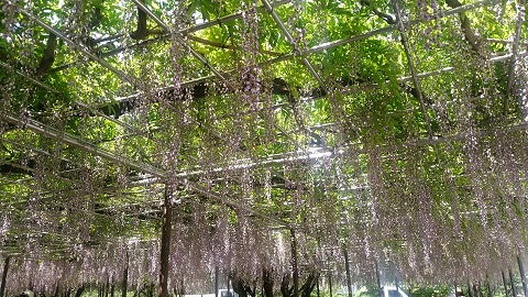 img_20170509-195736.jpg