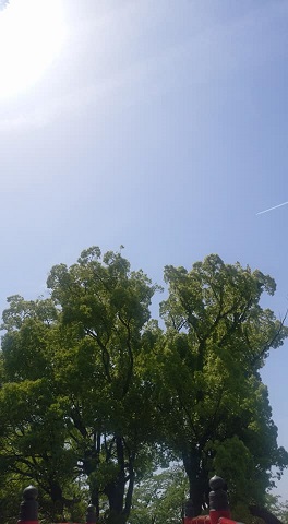 img_20170509-200944.jpg