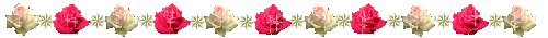 img_20170510-080926.gif
