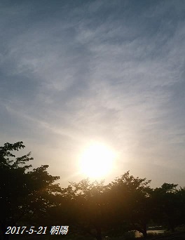 img_20170521-220013.jpg