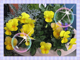 img_20170522-171602.gif