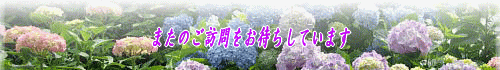 img_20170630-183716.gif
