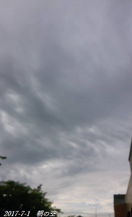 img_20170701-204134.jpg