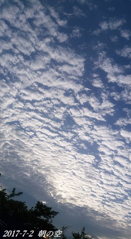 img_20170702-145551.jpg
