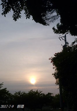 img_20170709-153600.jpg