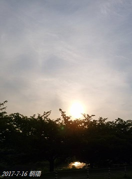 img_20170716-202136.jpg