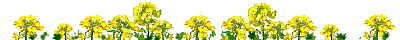 img_20180326-145124.gif