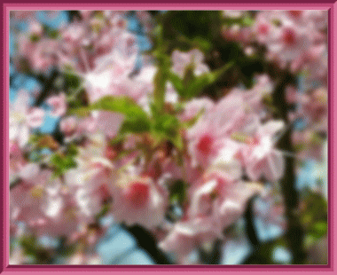 img_20180401-195759.gif