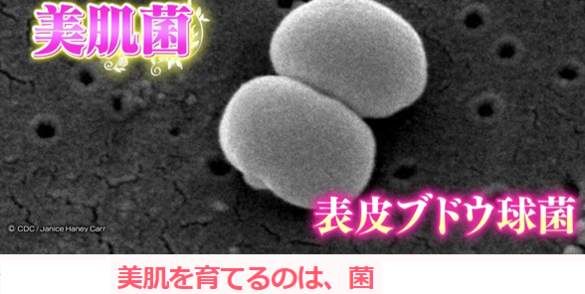 img_20181008-064457.png