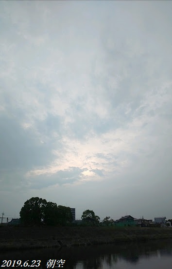 img_20190623-001915.jpg