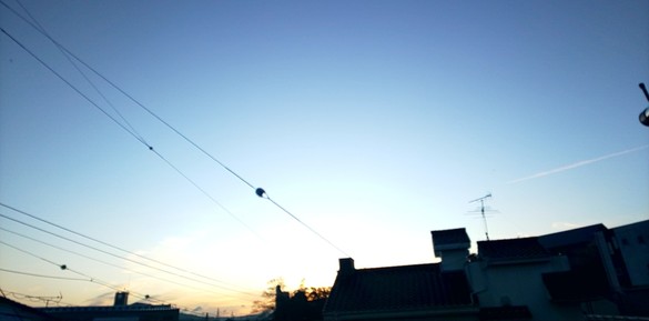 img_20200110-083838.jpg