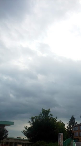 img_20201003-053149.jpg