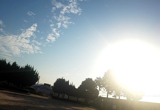 img_20201007-083650.jpg