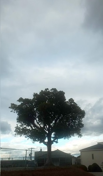 img_20201215-090922.jpg