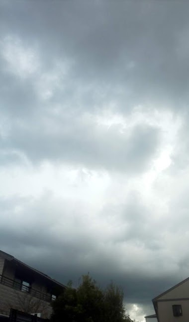img_20201215-090959.jpg