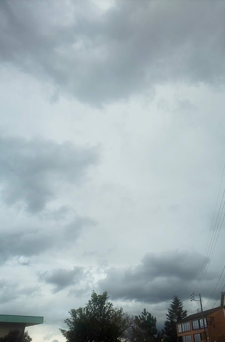 img_20201215-091033.jpg