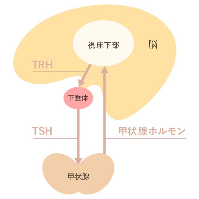 img_20210207-104304.png