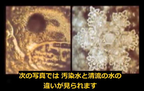 img_20220404-114749.png