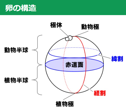 img_20220826-023734.png