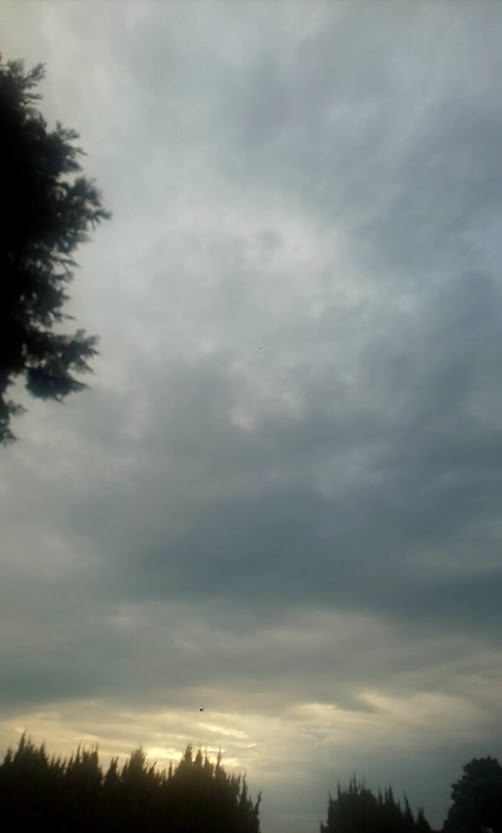 img_20220828-101543.jpg