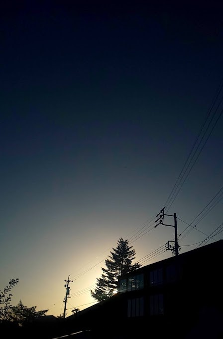 img_20221127-082322.jpg