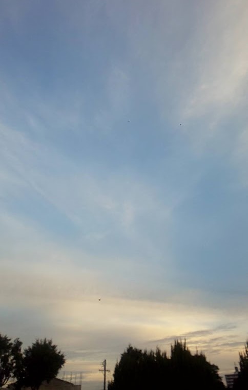 img_20221217-102513.jpg