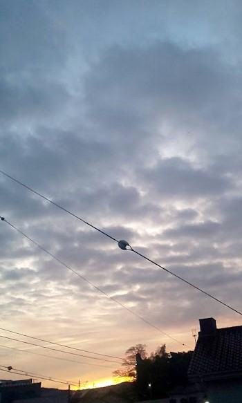 img_20230106-044052.jpg