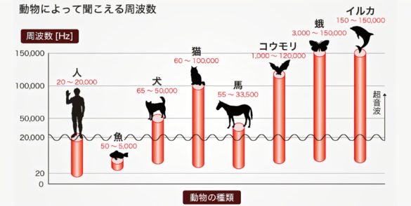 img_20230916-063359.png