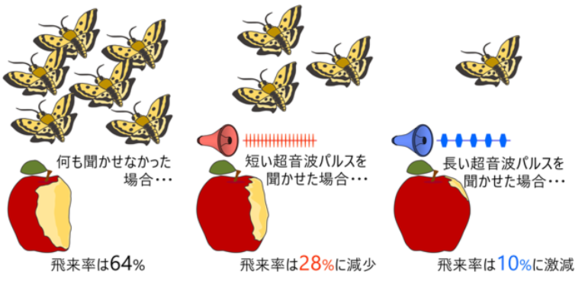 img_20230916-100806.png