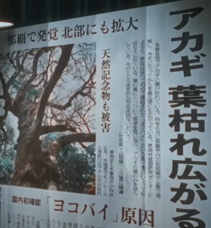 img_20240521-182246.png