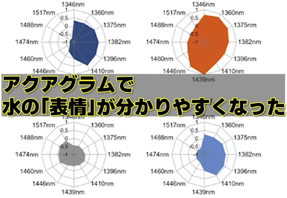 img_20240805-202818.png