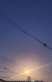img_20250314-184202.jpg