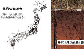 img_20251002-192231.png