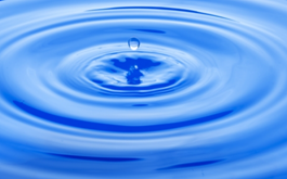 img_20251208-210238.png