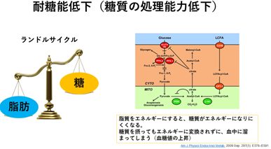 img_20251219-140843.png