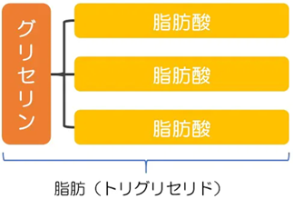 img_20251219-143357.png