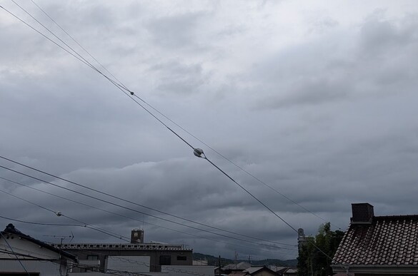img_20260604-201206.jpg