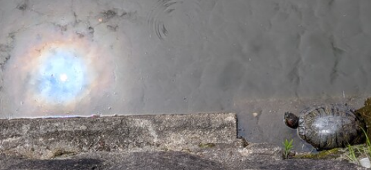 img_20260611-210800.png