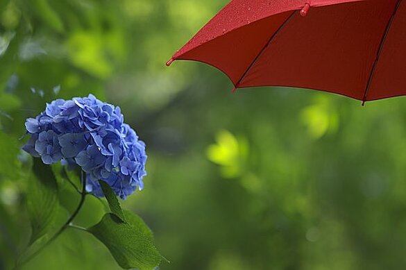 img_20260706-193727.jpg