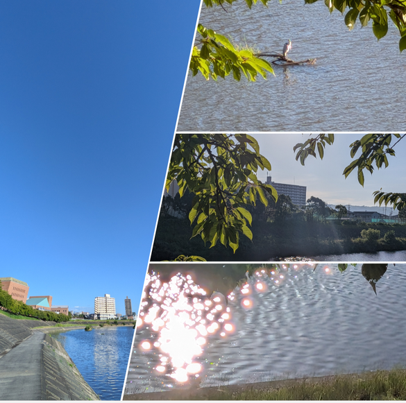 img_20260729-223541.png
