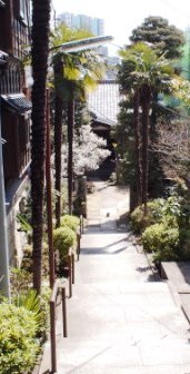 img_20120321-150340.jpg