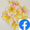 img_20240219-013703.jpg