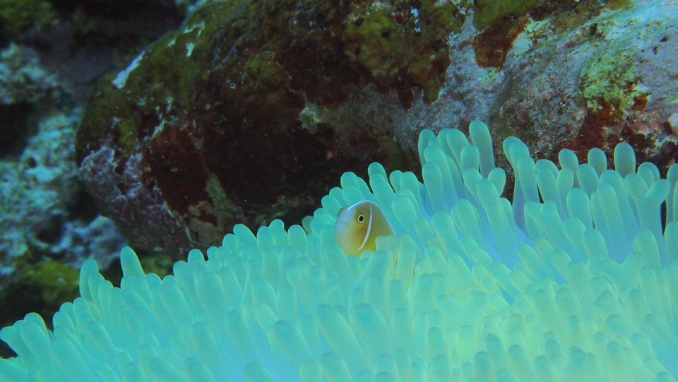 header_20241222-111814.jpg
