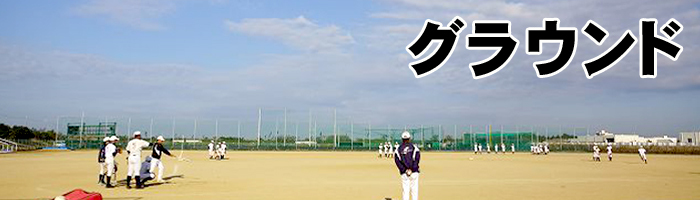 img_20181229-024647.jpg