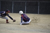 img_20231126-190215.jpg