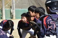 img_20231126-190252.jpg