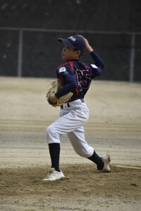 img_20231126-190316.jpg