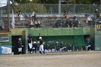 img_20231126-200412.jpg